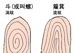 人口手上中下_语文教育,从\