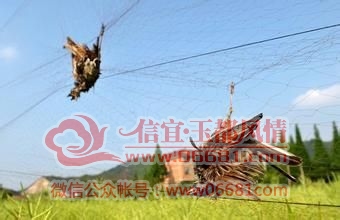 一个镇多少人口_仓库坍塌居民用手刨出5个人   事发阿(3)