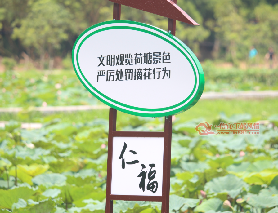 QQͼƬ20170709150144.png