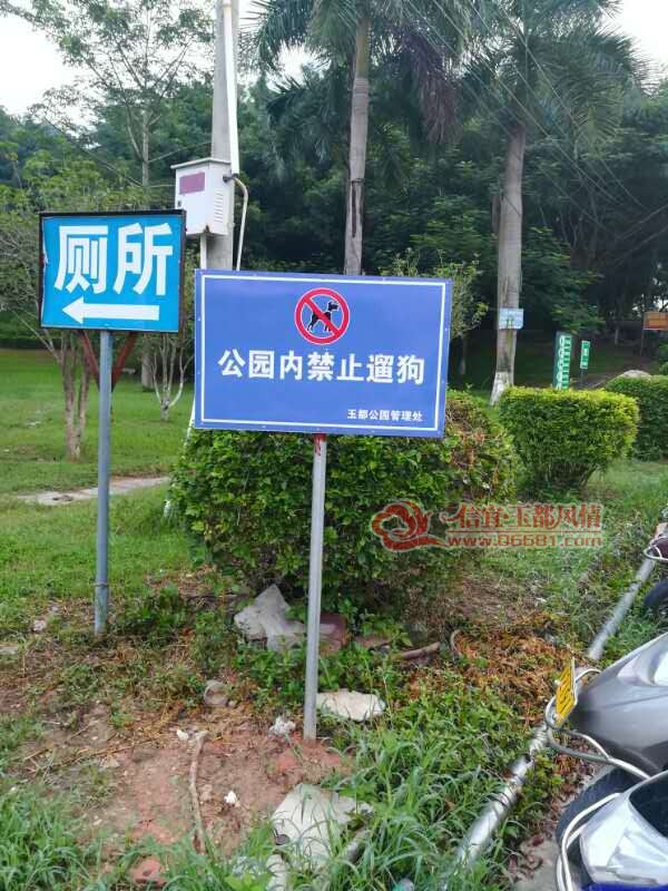 169984618836579576.jpg
