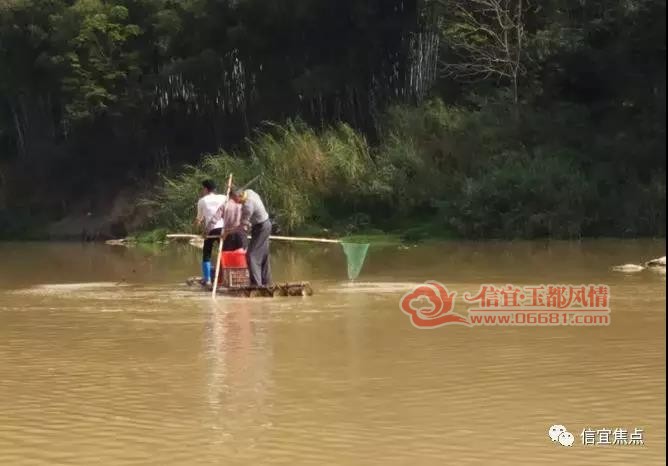 信宜镇隆六岸河段有人撑排电鱼.