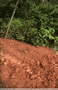 fda05ab8c10c0d3e77a53e19a362b38c.gif