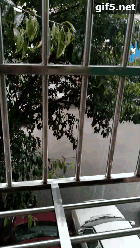 gif5���ļ�.gif