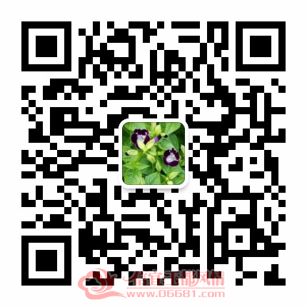 mmqrcode1537926913596.png