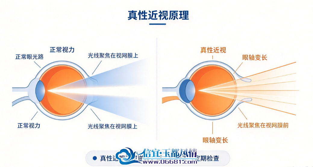 e71ebba1-3d8b-4d96-9028-5c9385d0518b.png