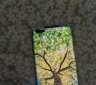 ԭ��6799������ҫMagic 3 Pro��12+512�ڴ棬�þ��˵ͼ۳������95�¡�