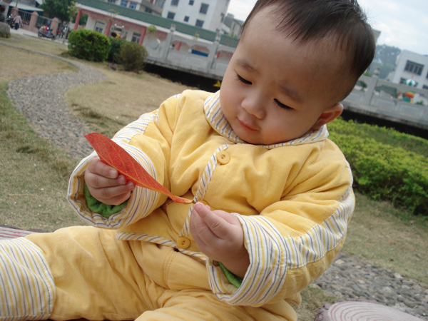 01.jpg