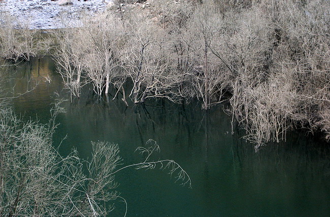 06.jpg
