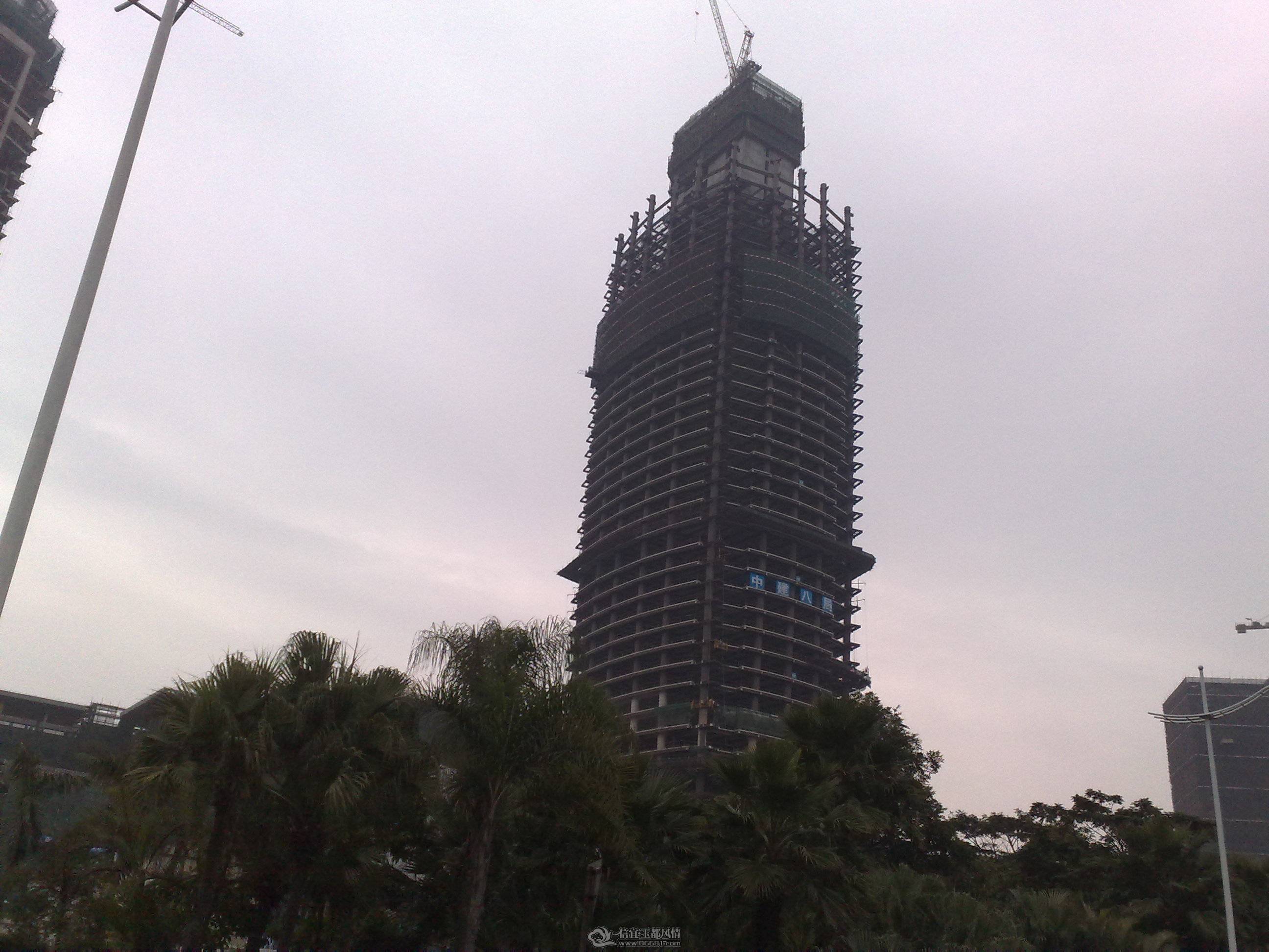 20100126393.jpg