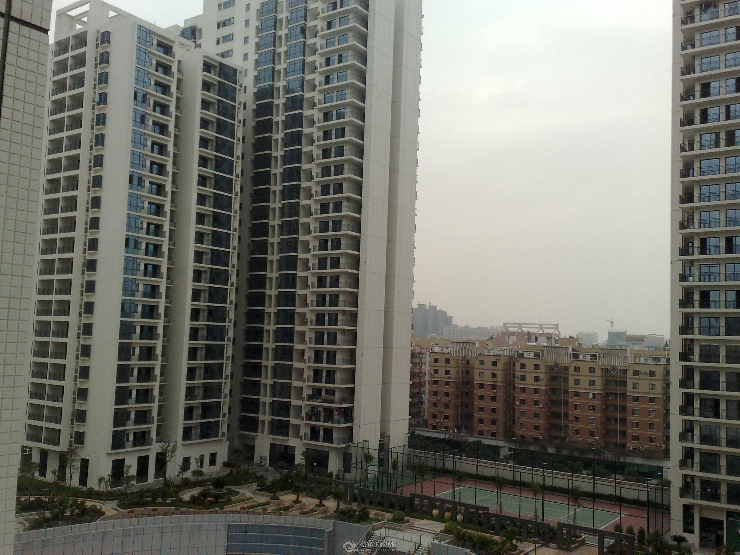 20100126395.jpg