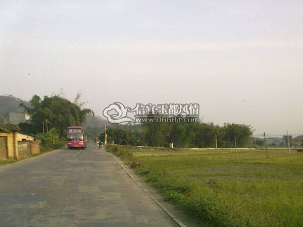 20100219353.jpg