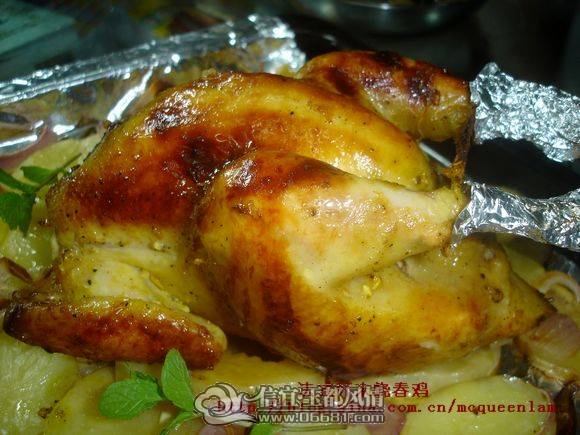 DSC01135.JPG