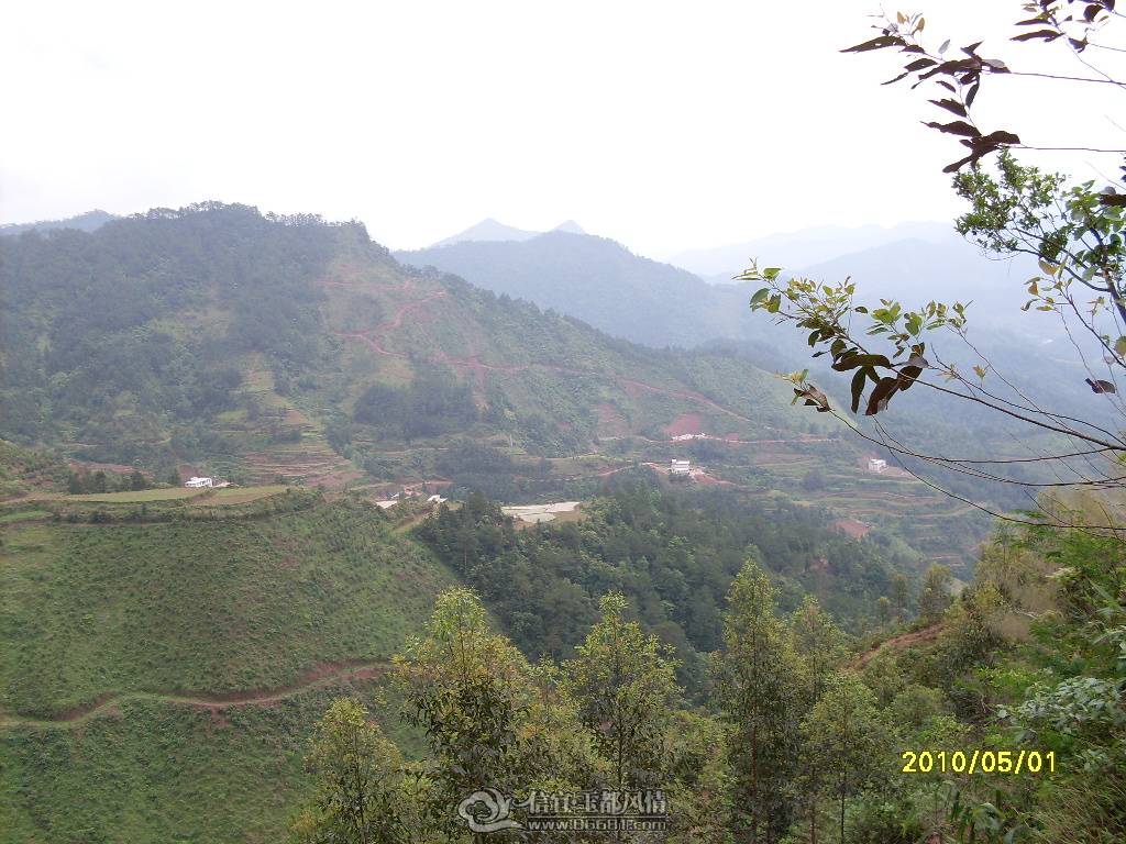 SDC14409.JPG