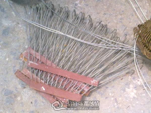 20100511631.jpg