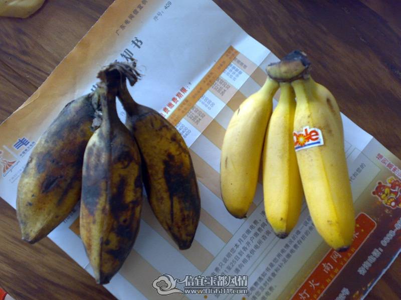 banana~~3.jpg