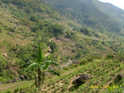 DSCI0012.jpg