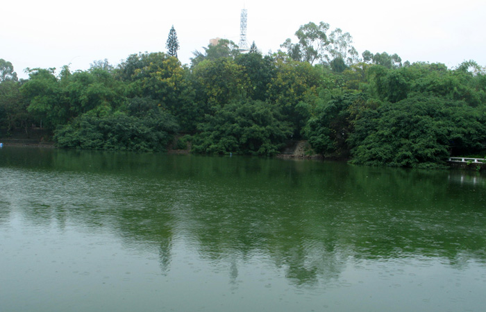 CJGY 034.jpg