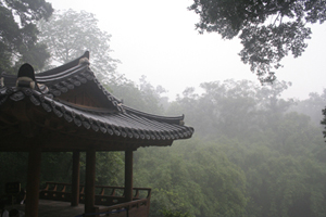 _MG_3930.jpg