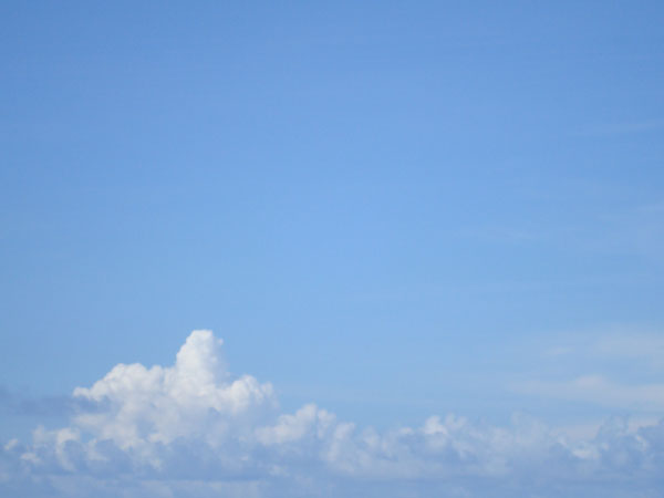 DSC00651.JPG