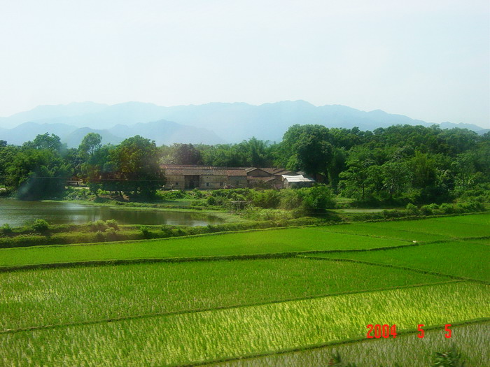 a6.jpg