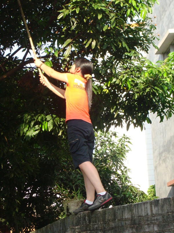 DSC01512.JPG