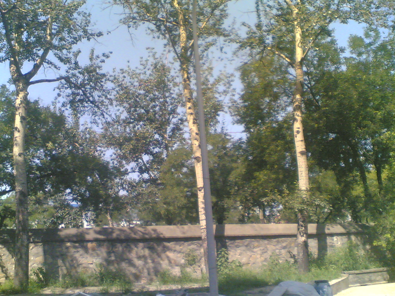 20070821(005).jpg