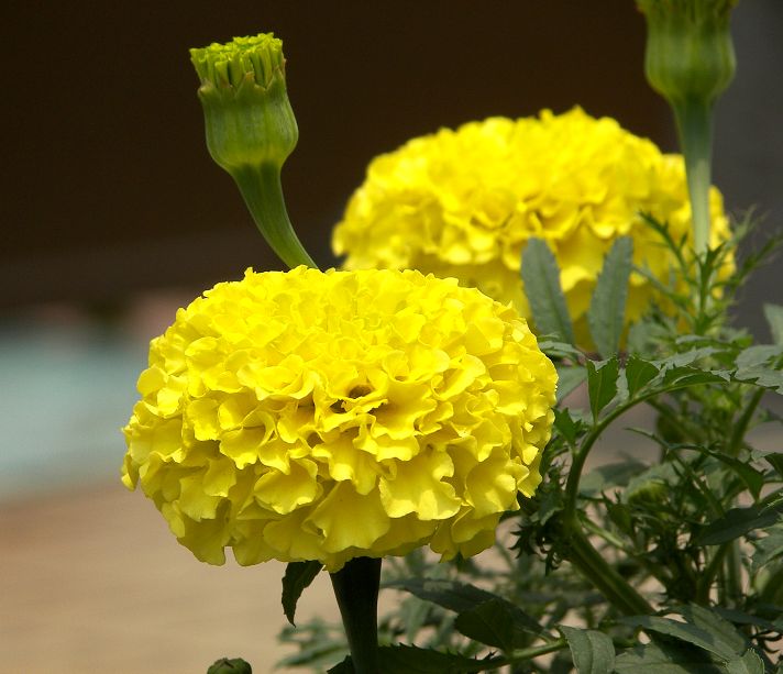 {96980F5C-D630-41F3-A522-CA141AAD369C}.JPG