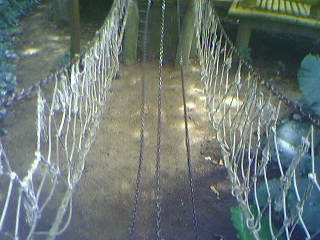 de6570f07b593fc37931aaff.jpg