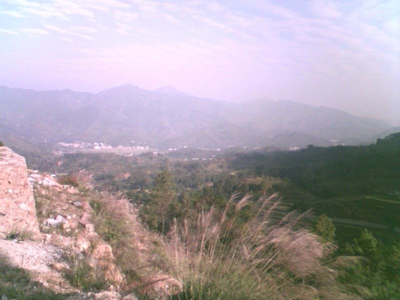 DSC_00016.jpg