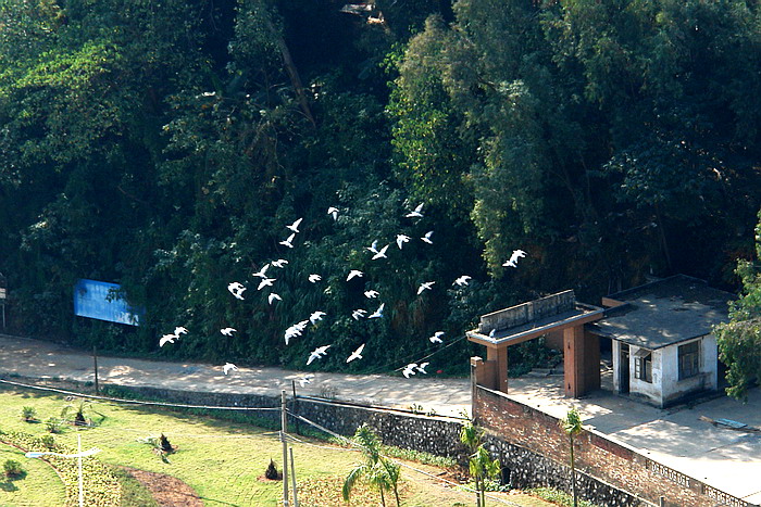 DSC09011.jpg