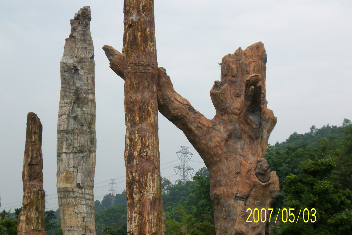 100_0091.JPG