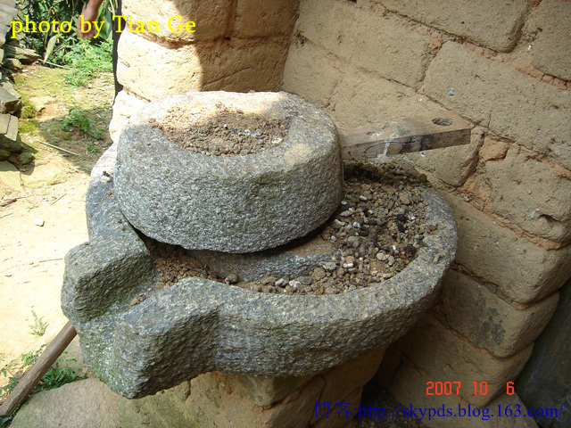 DSC00308.jpg