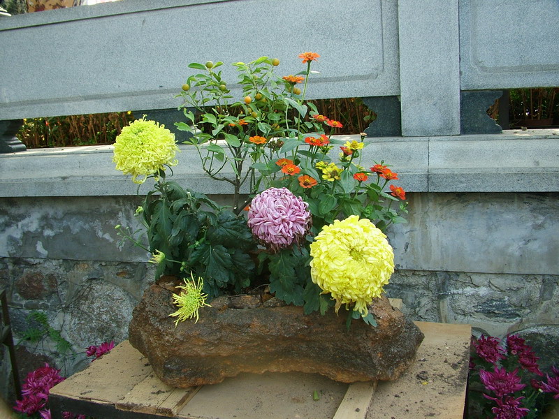 DSCF3618.JPG