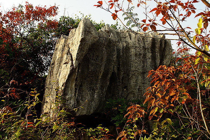 DSC09132.jpg