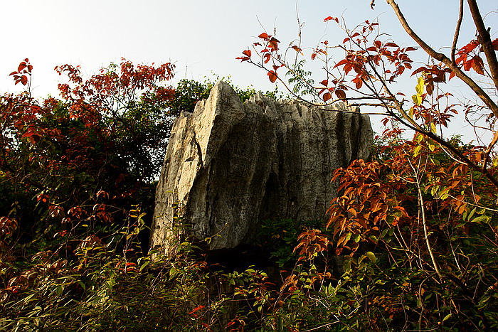 DSC09131.jpg