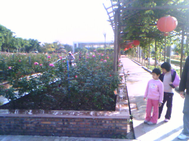 IMAGE_00110.jpg