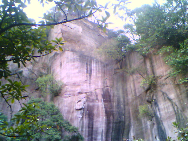 IMAGE_00183.jpg