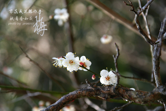 ÷ (2).jpg