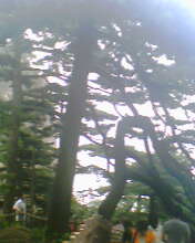 IMG0088A.jpg