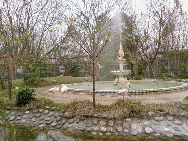 ��Ƭ-0056.jpg