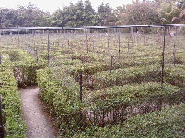 ��Ƭ-0062.jpg