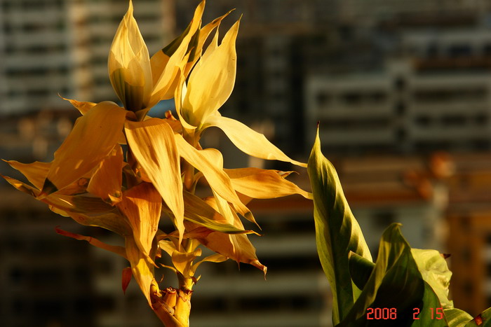 DSC00640.jpg