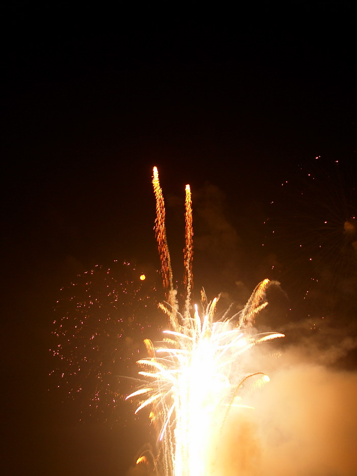 DSC00782.jpg