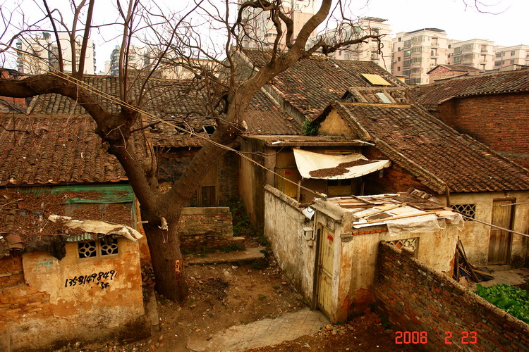 DSC01106.jpg