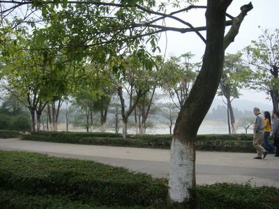 DSC00253.JPG