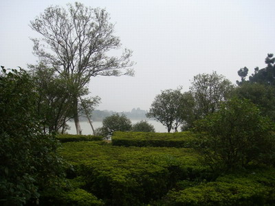 DSC00224.JPG