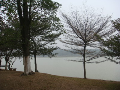DSC00233.JPG