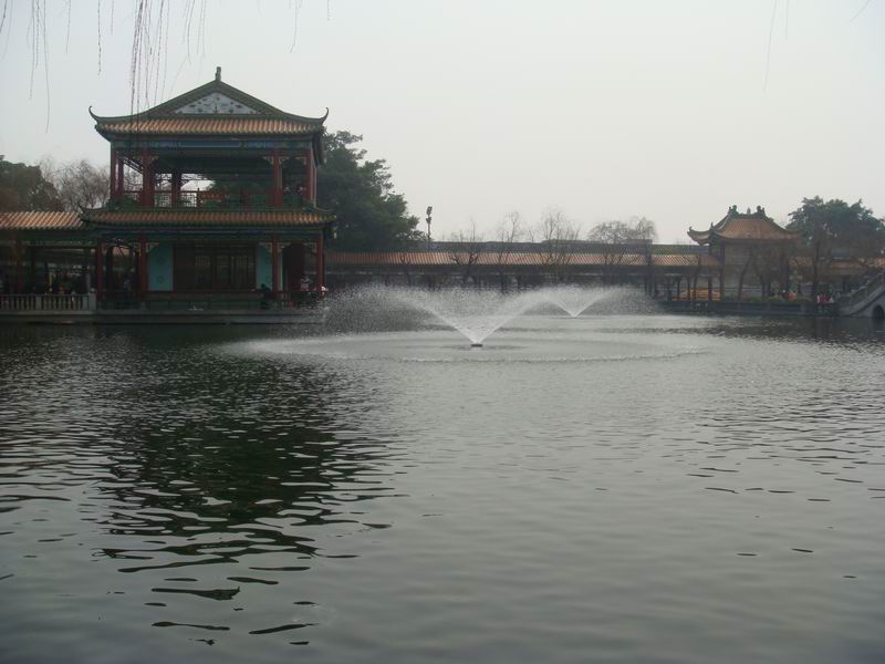 ������С DSC00827.JPG