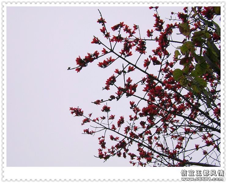 DSC01095.jpg