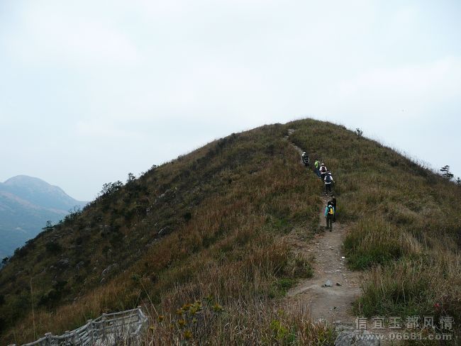 P1000895.jpg